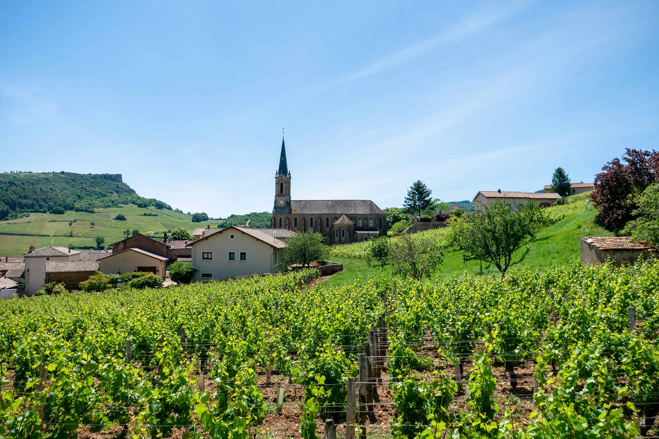 Les alentours : Gîte / Maison en location à Charolles