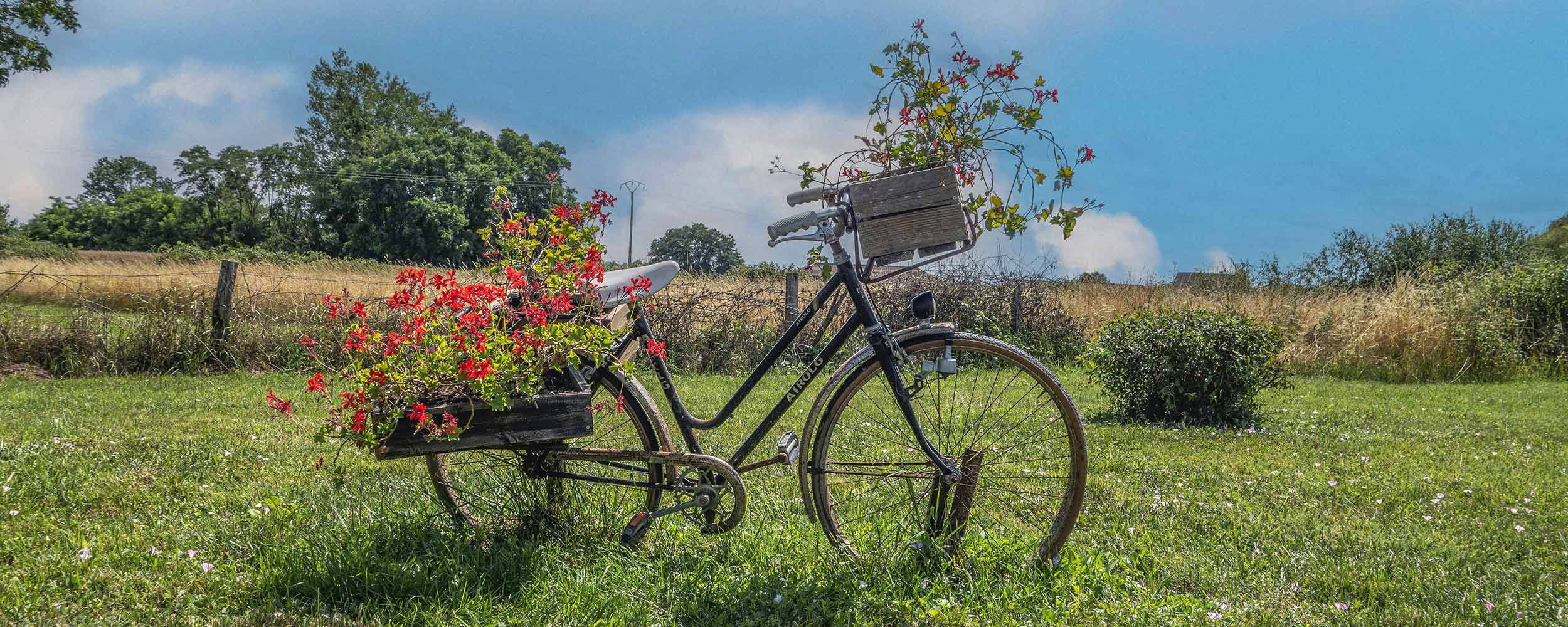 Le logis de la Promenade : gîtes / maison en location à Charolles, location de vacances ou week-end.